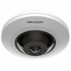 HIKVISION DS-2CD2955G0-ISU